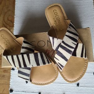 Coconuts zebra slide